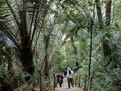 -七仙岭温泉国家森林公园