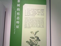 -中国茶叶博物馆(双峰馆区)