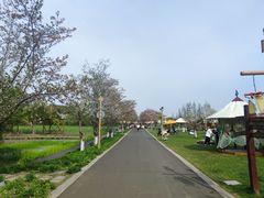 -长田漾湿地公园