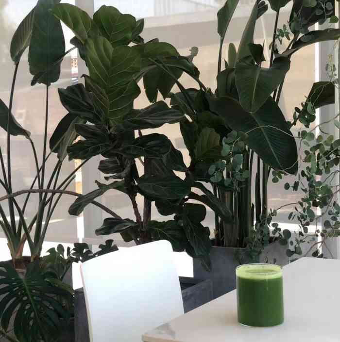 cyber plants-"以前的回声果汁又换装了嘛~~ 从人家市.