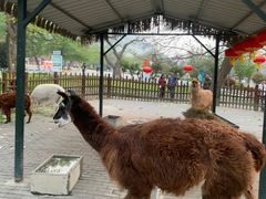 -西安秦岭野生动物园