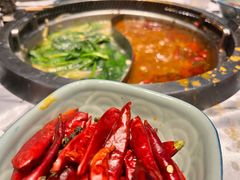 -红辣椒·川菜·火锅(朝外店)