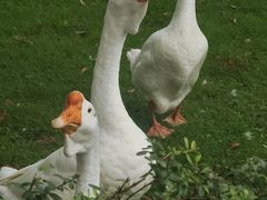 -台州府城(东湖)