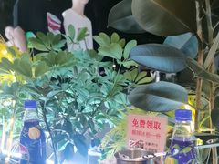-木屋烧烤(龙岗龙城万科里店)