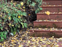 -野三坡百草畔景区