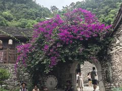 -高荡千年布依古寨旅游景区