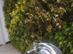 -帝豪斯健身俱乐部(市府恒隆广场店)