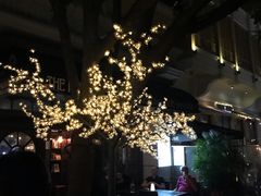 店内布置-THE PADDY FIELD田野西餐厅(禅城店)