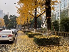 -两江幸福广场