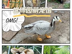 -西安世博园