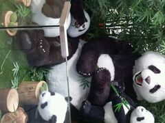 android_upload_pic-济州岛泰迪熊博物馆