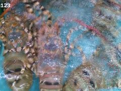 -渔民新村(番禺总店)