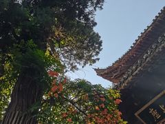 -洛阳白马寺