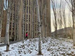 -大兴滨河森林公园