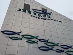 -上海海洋水族馆