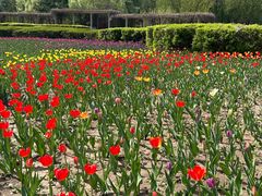 -长春公园(普阳街道)