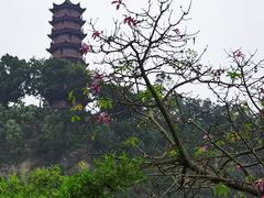 -南沙蒲洲花园