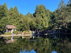 -庐山风景区花径公园