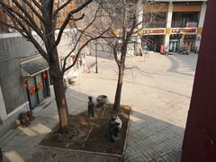 -古文化街旅游区