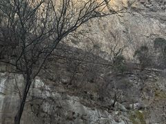-藏山旅游风景区