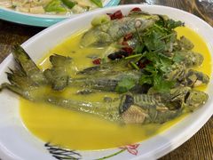 -掌勺人鱼馆(朝阳镇店)