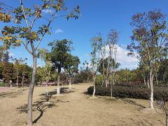 -上海长兴岛郊野公园