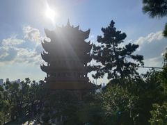 -黄鹤楼公园(黄鹤楼)
