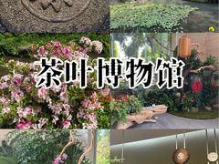 -中国茶叶博物馆(双峰馆区)
