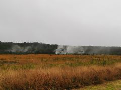 -夏威夷火山国家公园