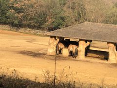 -杭州野生动物世界