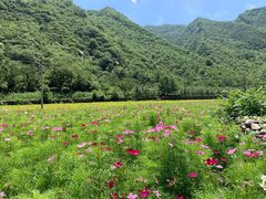 -白河湾生态旅游一条川