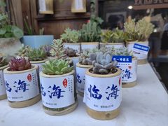 -紫阳古街