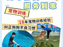 -宠物寄养训练学校