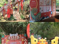 -海南热带野生动植物园