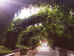 -伯衡55·吉品轩(乌鲁木齐南路店)