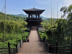 -大唐贡茶院