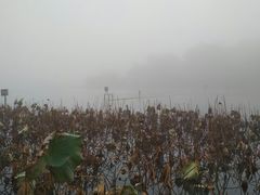 -杭州西湖风景名胜区-北街寻梦
