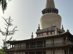 -张掖大佛寺景区