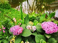 -人民公园(罗湖区)