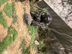 -北京周口店北京人遗址博物馆