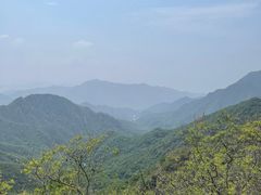 -大岭沟猕猴桃谷风景区