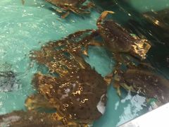 -盒马鲜生(宝地店)