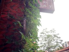 -晋江五店市传统文化旅游区
