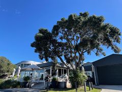 -Takapuna Beach Cafe