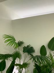 -HEYAN荷妍专业脱毛连锁机构