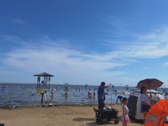 -碧海金沙