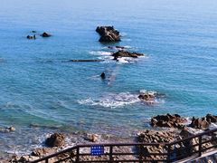 -小麦岛公园