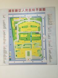 -上海市浦东新区人民医院儿科