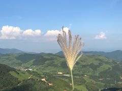 -东白山