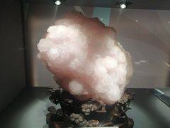 -武汉园博园(武汉自然博物馆)